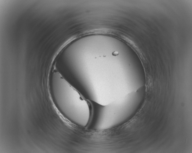 X0000082161426200702162223