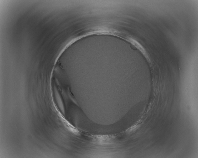 X0000082161428200702162223