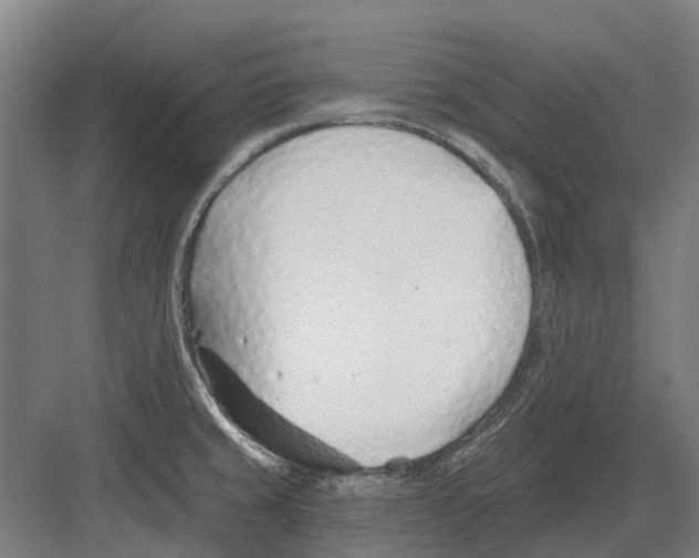 X0000082161429200702162223