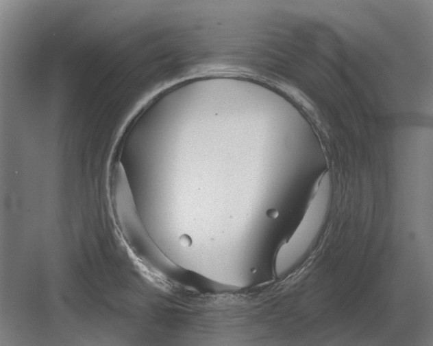 X0000082161430200702162223