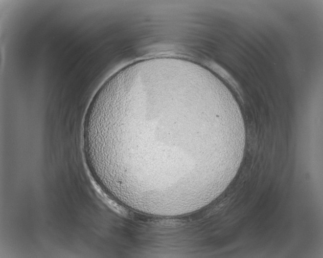 X0000082161431200702162223