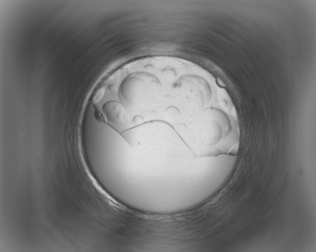 X0000082161432200702162223