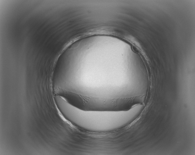 X0000082161433200702162223