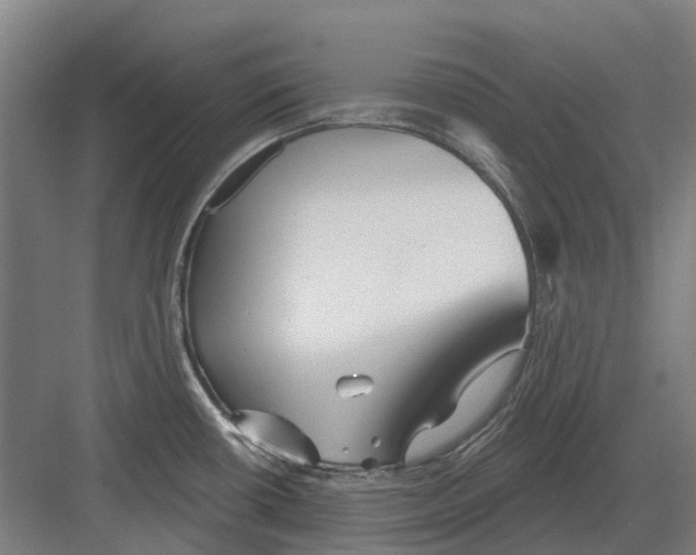 X0000082161434200702162223