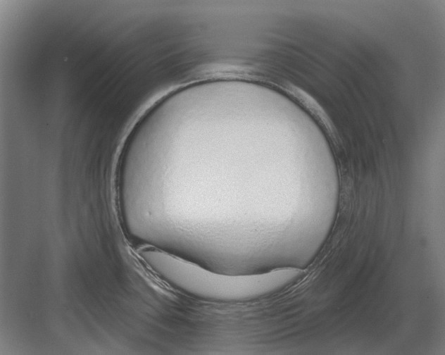 X0000082161435200702162223