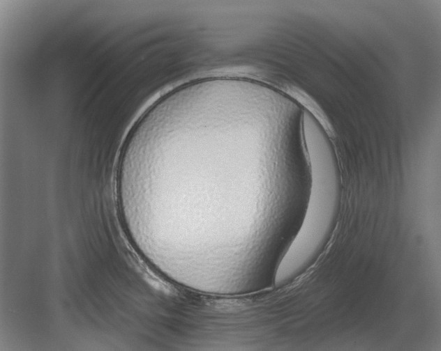 X0000082161436200702162223