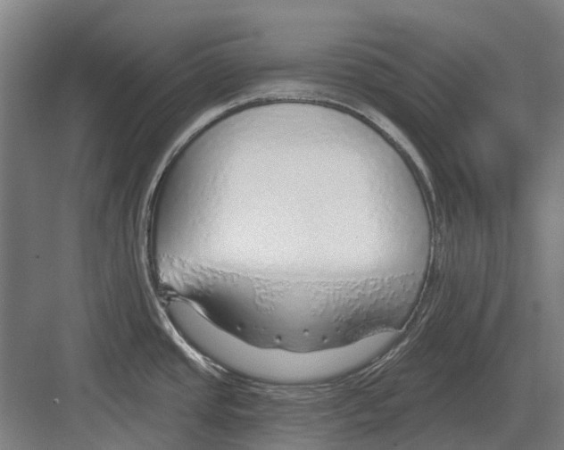 X0000082161437200702162223