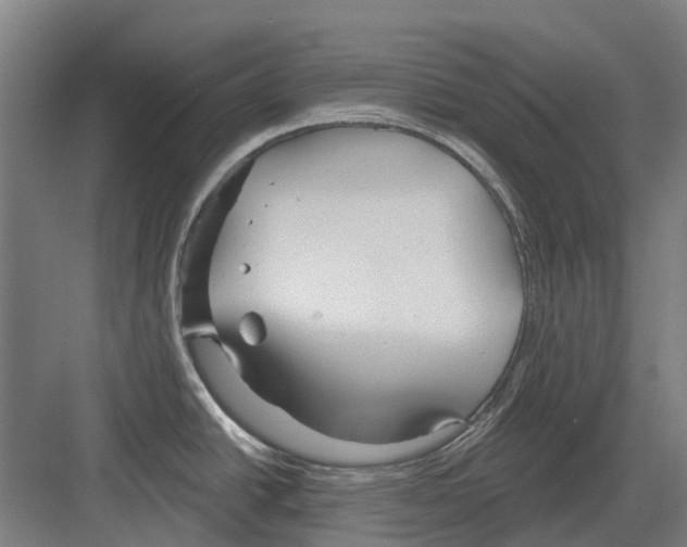 X0000082161438200702162223