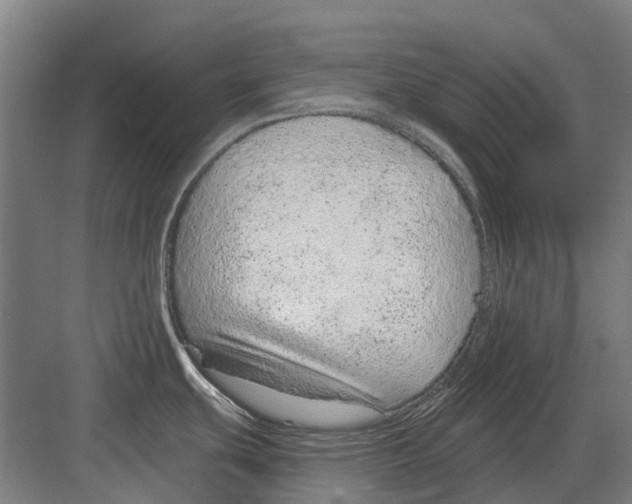 X0000082161439200702162223