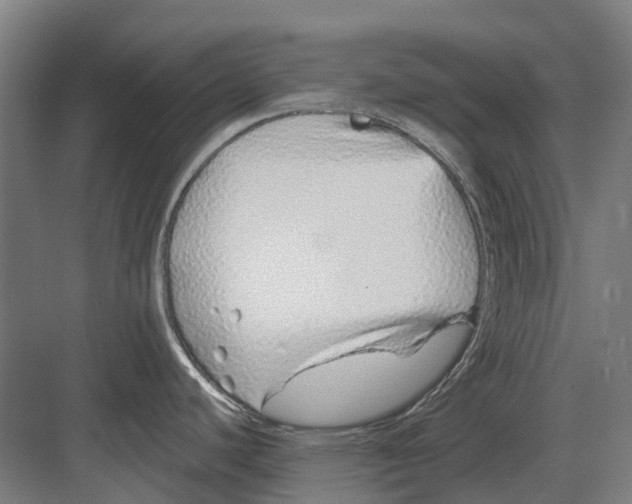 X0000082161440200702162223