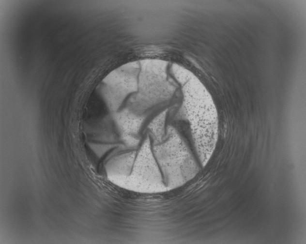 X0000082161441200702162222