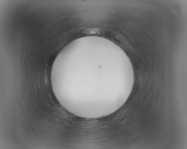 X0000082161442200702162222