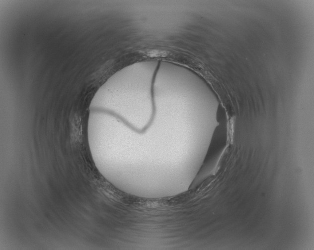 X0000082161443200702162222