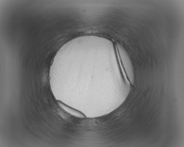 X0000082161444200702162222