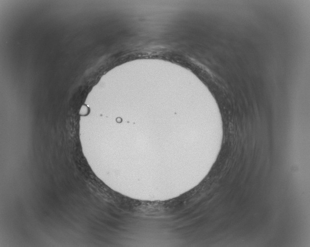 X0000082161447200702162222