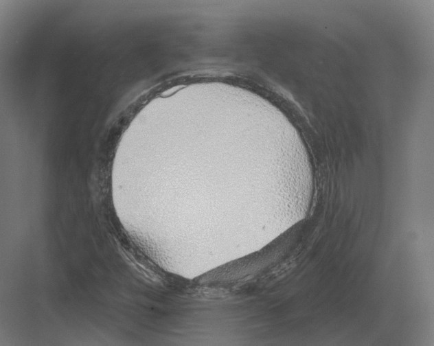 X0000082161448200702162222