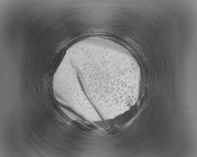 X0000082161449200702162222