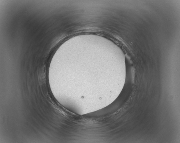 X0000082161450200702162222