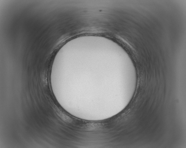 X0000082161451200702162222