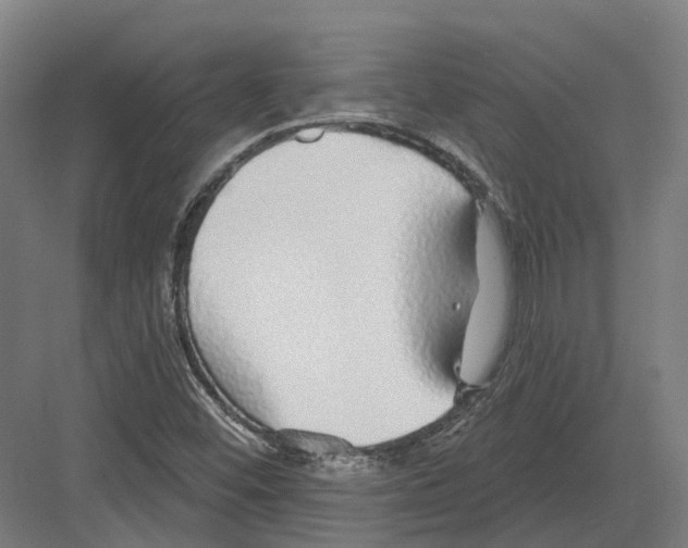 X0000082161452200702162222