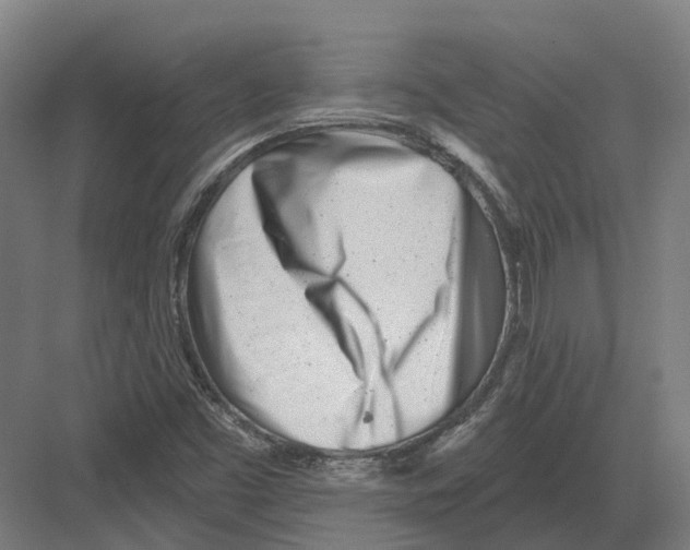 X0000082161453200702162222