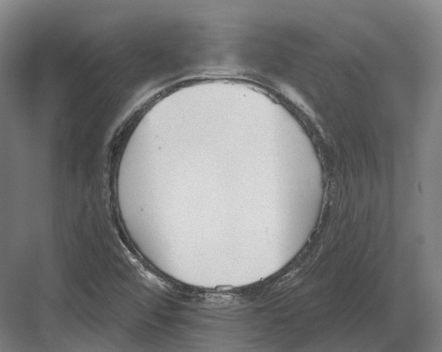 X0000082161456200702162222