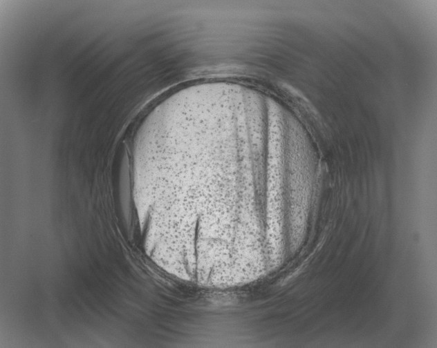 X0000082161457200702162222