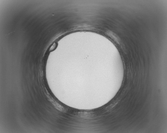 X0000082161458200702162222