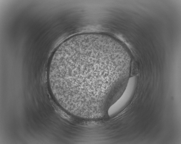 X0000082161459200702162222