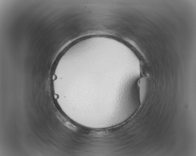 X0000082161460200702162222