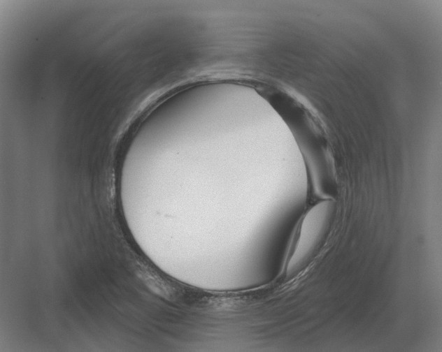 X0000082161461200702162222