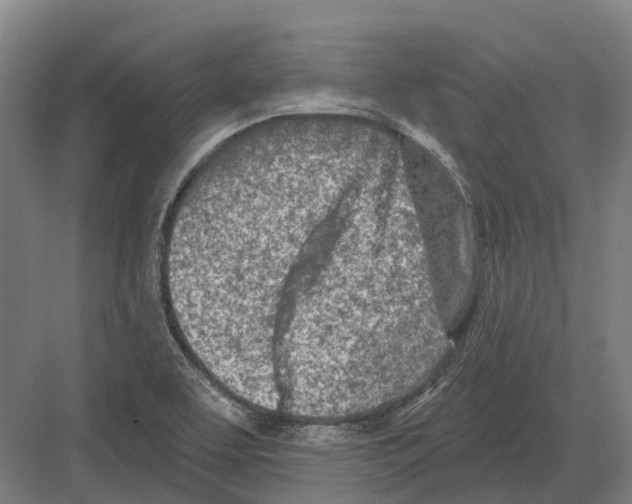 X0000082161463200702162222