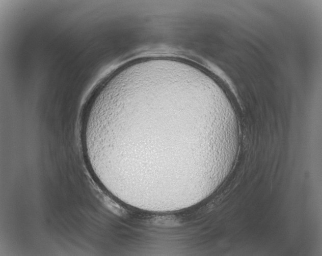 X0000082161464200702162222