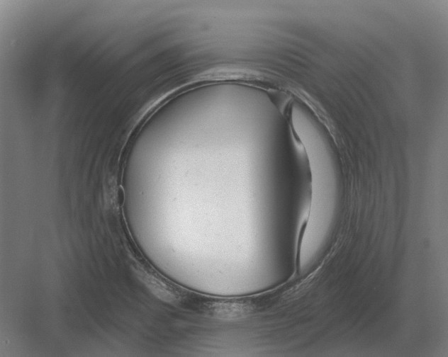 X0000082161465200702162222