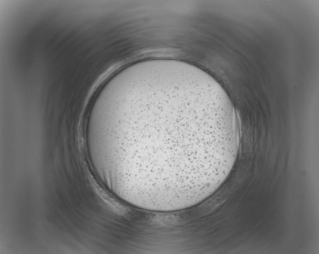 X0000082161466200702162222