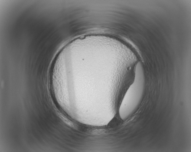 X0000082161467200702162222