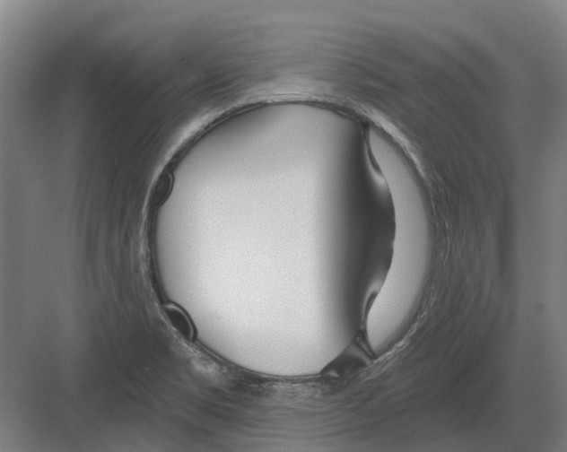 X0000082161469200702162222