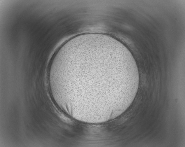 X0000082161470200702162222