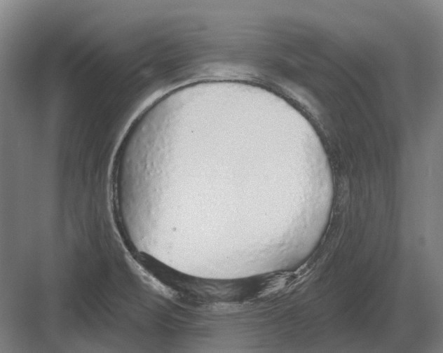 X0000082161471200702162222