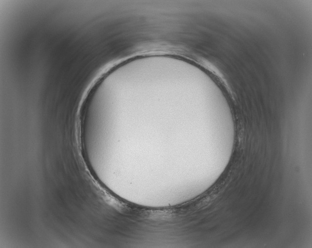 X0000082161472200702162222