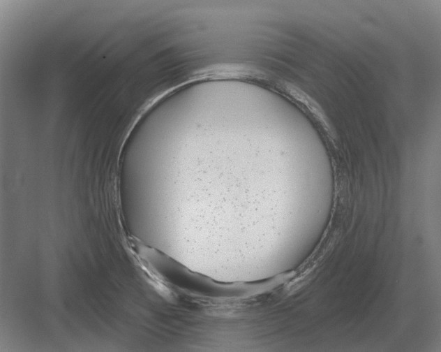 X0000082161473200702162222