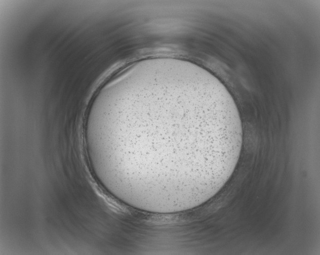 X0000082161474200702162222