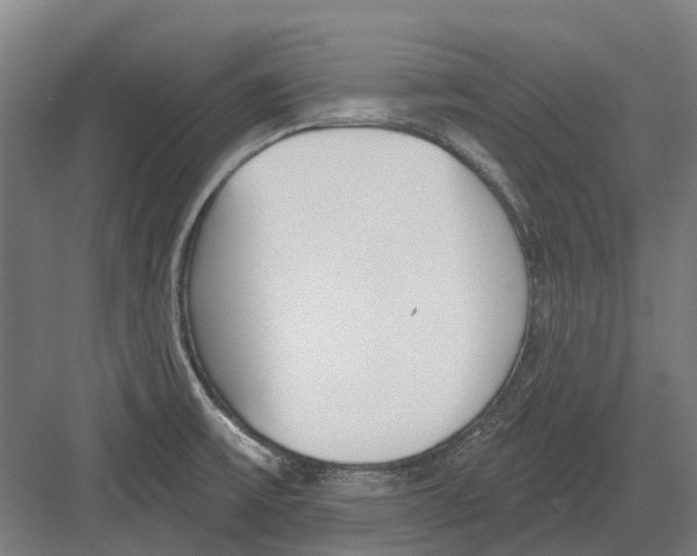 X0000082161475200702162222