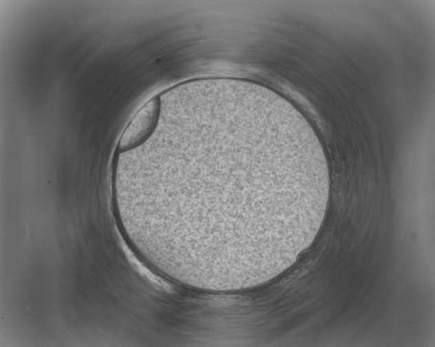 X0000082161479200702162221