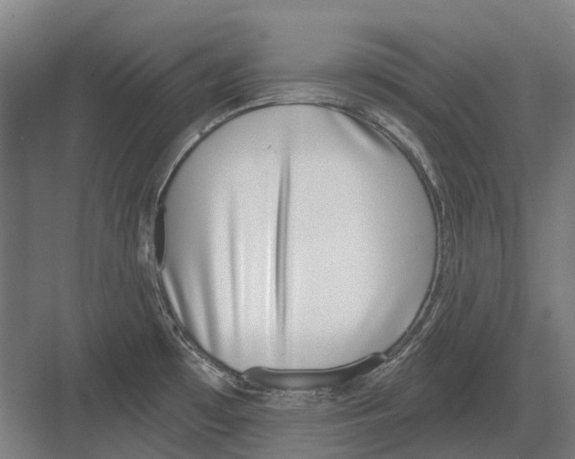 X0000082161481200702162221