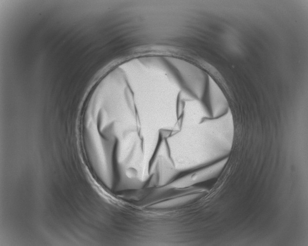 X0000082161482200702162221