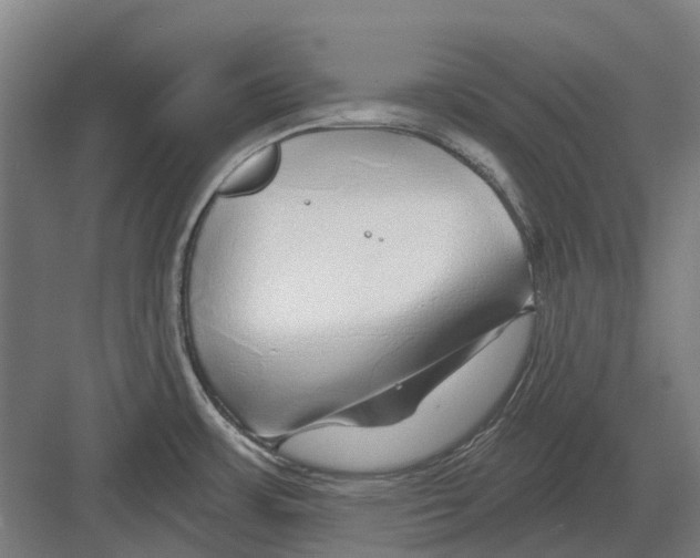 X0000082161483200702162221