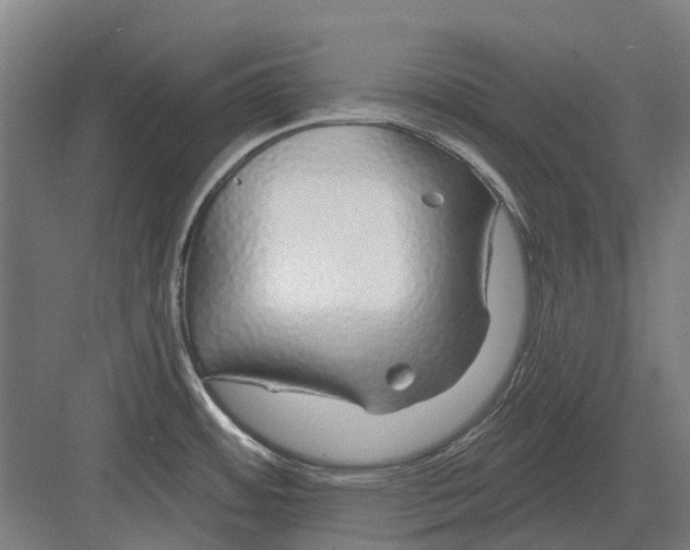 X0000082161484200702162221