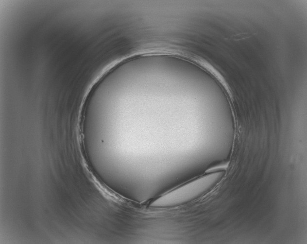 X0000082161485200702162221