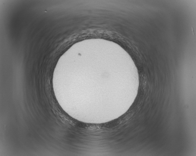 X0000082161489200702162220